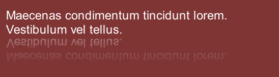 Maecenas condimentum tincidunt lorem. 
Vestibulum vel tellus. 

